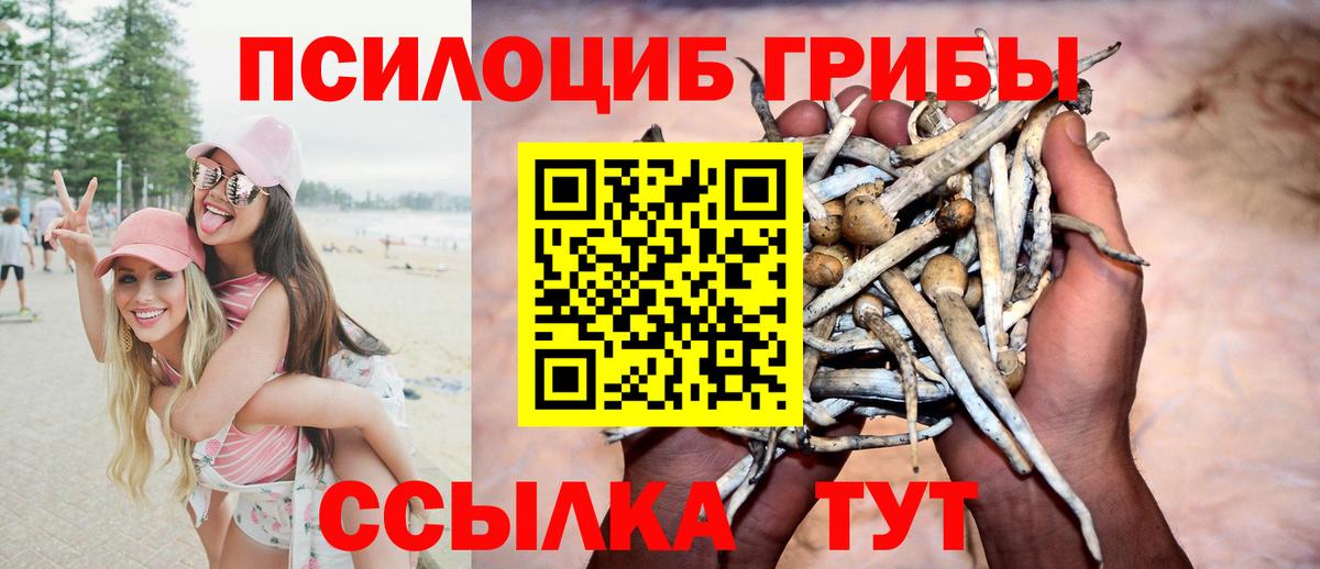 Галлюциногенные грибы прущие грибы  Вход с VPN  Ртищево 
