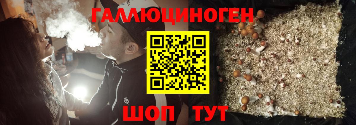 Галлюциногенные грибы GOLDEN TEACHER Ртищево